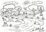 Rios Contaminados Seres Vivos Dibujar Naturales Scenery Bosques Primavera sketch template