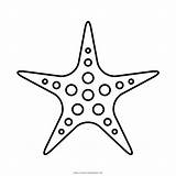 Estrela Estrellas Estrella Marinas Ultracoloringpages sketch template