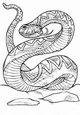 Colorare Serpente Rattlesnake Sonagli Australian Viper Snakes Rettili Animals Animali sketch template
