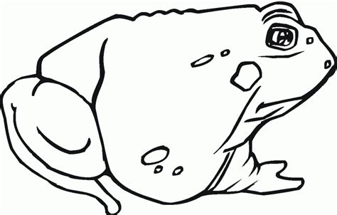 toad coloring pages coloring home