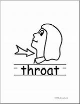 Throat Clipart Clipground Clip Cliparts sketch template
