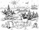 Mounted Rubber Wood Stamps Northwoods Blessed Night Coloring Pages Christmas sketch template