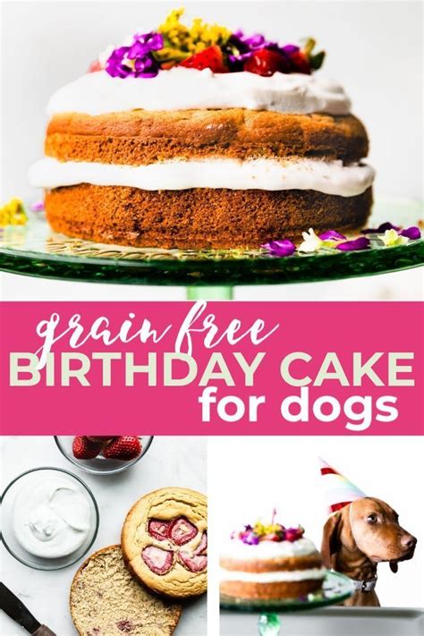 cake  dogs recipe doggie birthday cake recipe allrecipescom
