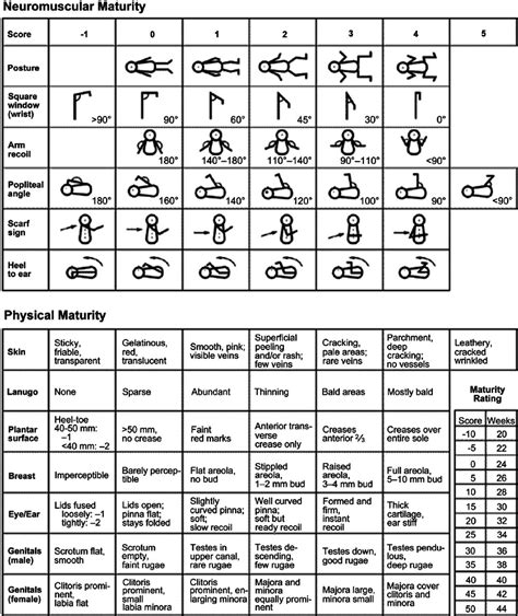 ballard scale  gestational age gestational assessment