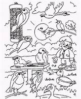 Vogels Mandala Ausmalbild Tuin Waldtiere Dieren Malvorlagen Downloaden Vogeltjes Bezoeken Kleuren Kiezen Uitprinten sketch template
