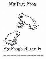 Frog Dart Poison Coloring Sheet sketch template