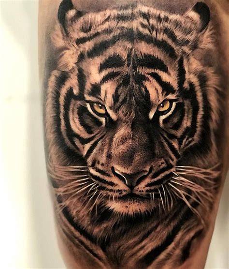 ideas de tattoo tigres en  tatuaje de tigre tatuaje de