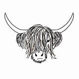 Cow Highland Scottish Coo Cows Cattle sketch template