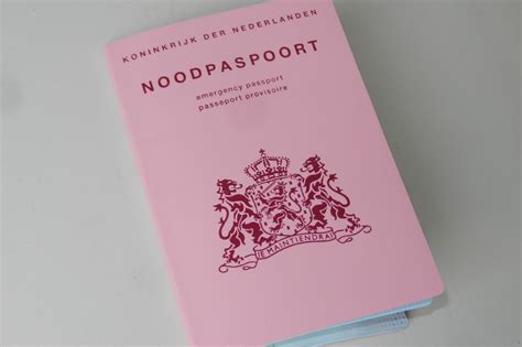 border police hit   almere council  passport chaos dutchnewsnl