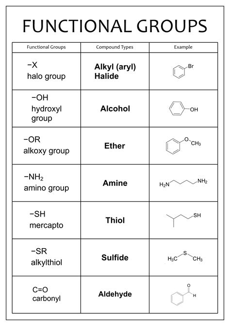 images  naming functional groups practice worksheet organic chemistry nomenclature