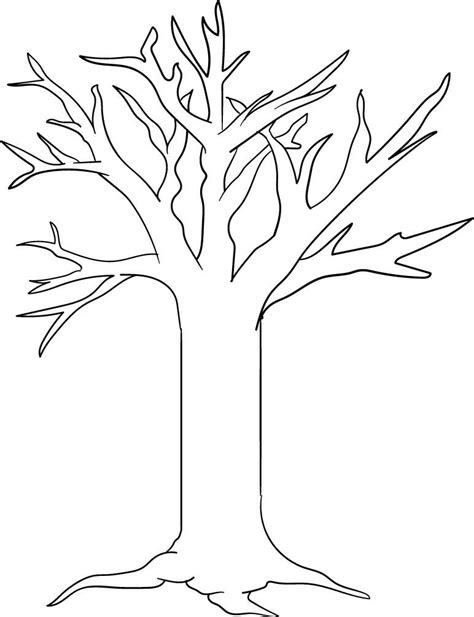 printable tree template tree printable  tree coloring page tree