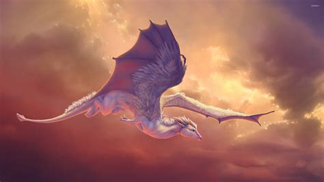 flying dragon wallpaper  pictures