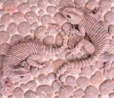 camouflage geckos flickr photo sharing
