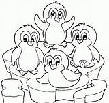 Coloring Pages Penguin Printable Cute Penguins Clipart Library sketch template