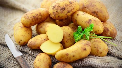 fruehkartoffeln im test nicht alle schmecken ndrde ratgeber