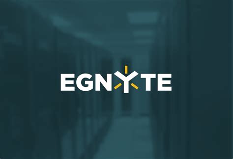 egnyte logo identity design
