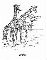Coloring Planet Amazon Animals Pages Rainforest Earth Book Awesome Drawing Getdrawings Giraffes Jungle Archive sketch template