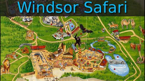 windsor safari park youtube