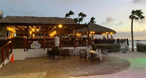sea breeze restaurant and bar palm eagle beach restaurant reviews
