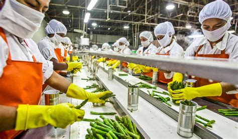 centre clears twenty food processing projects worth rs 363