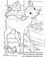 Farm Coloring Animals Colour Pages Popular Animal Printable sketch template