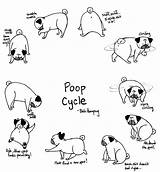 Pug Poop Coloring Cycle Pugs Cute Pages Baby Bah Humpug Pooping Dog Process Just Does Printable Colorings Drawn Walk Print sketch template