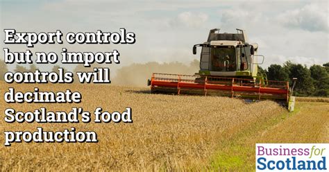 delaying brexit import controls total madness  scots food producers business  scotland