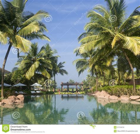 luxury tropical resort stock image image  paradise