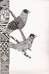 Zentangle Domenic Oiseau sketch template