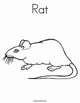 Maus Maeuse Mäuse Lesson3 Malvorlagen Zeichnung Tiere Twistynoodle Noodle Rodents Minibook sketch template