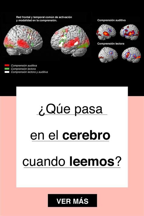 Qué Pasa En El Cerebro Cuando Leemos