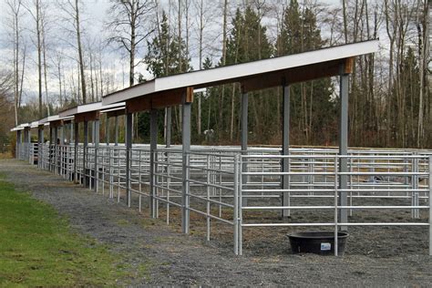 paddock shelters diy horse barn horse shelter dream horse barns