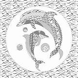 Dolphin Zentangle sketch template