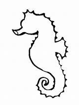 Seahorse Outline Printable Coloring Template Horse Clipart Sea Clip Cliparts Pages Outlines Drawing Stencils Kids Templates Library Choose Board Clipartbest sketch template