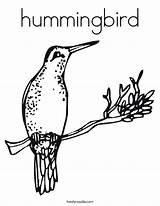 Coloring Hummingbird State Everfreecoloring Twistynoodle Minibook sketch template