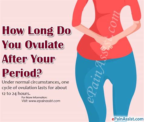 when do you ovulate after period
