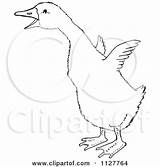 Line Wings Drawing Clipart Gosling Cartoon Geese Retro Vintage Flapping Its Baby Royalty Vector Picsburg Duck Cute Simple Bird Poster sketch template