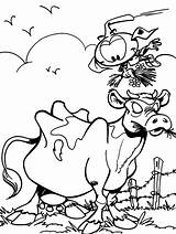 Snorkels Feeding Ox Casey Straw Coloring Pages sketch template