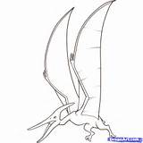 Coloring Pteranodon Dinosaur Flying Drawings Library Clipart Sketch sketch template
