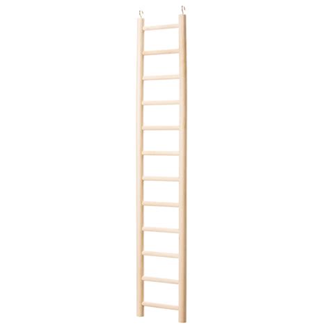 parrot ladder  living  north american pet products
