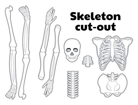 skeleton templates  printable templates