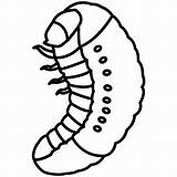 Pupa Grub Larva Silkworm Larvae Maggot Larval sketch template