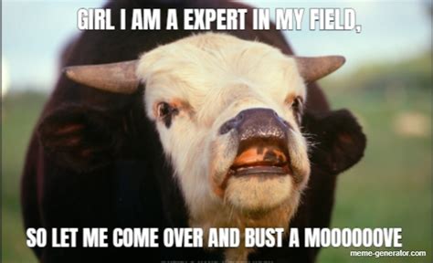 Girl I Am A Expert In My Field So Let Me Come Over And Bust Meme