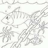 Fish Coloring Pages Drawing Chain Printable Colouring Line Clip Striped Animal Desenho Kindergarten 2010 Peixinhos Seipp Drawn Dave Print March sketch template