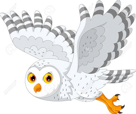 snowy owl vector  getdrawings