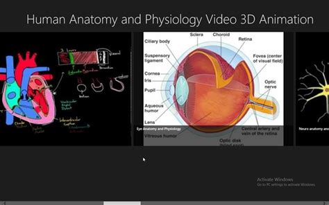 human anatomy and physiology video 3d animation for windows 8 and 8 1