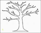 Tree Leafless Coloring Printable Divyajanani sketch template