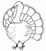 Turkey Toddlers Coloringbay sketch template