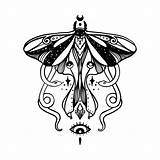 Moth Luna Drawing Witchy Drawings Paintingvalley sketch template