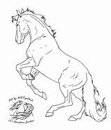 Rearing Lineart Palomino Draw Bucking Hayvanlar Aufzucht Ohne Possibly Micron Lines sketch template